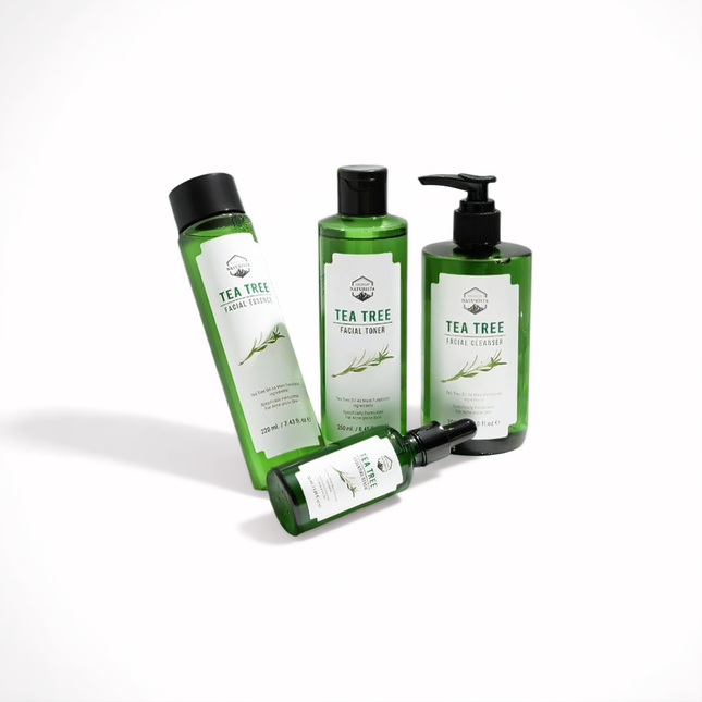 Coffret spécial arbre à thé